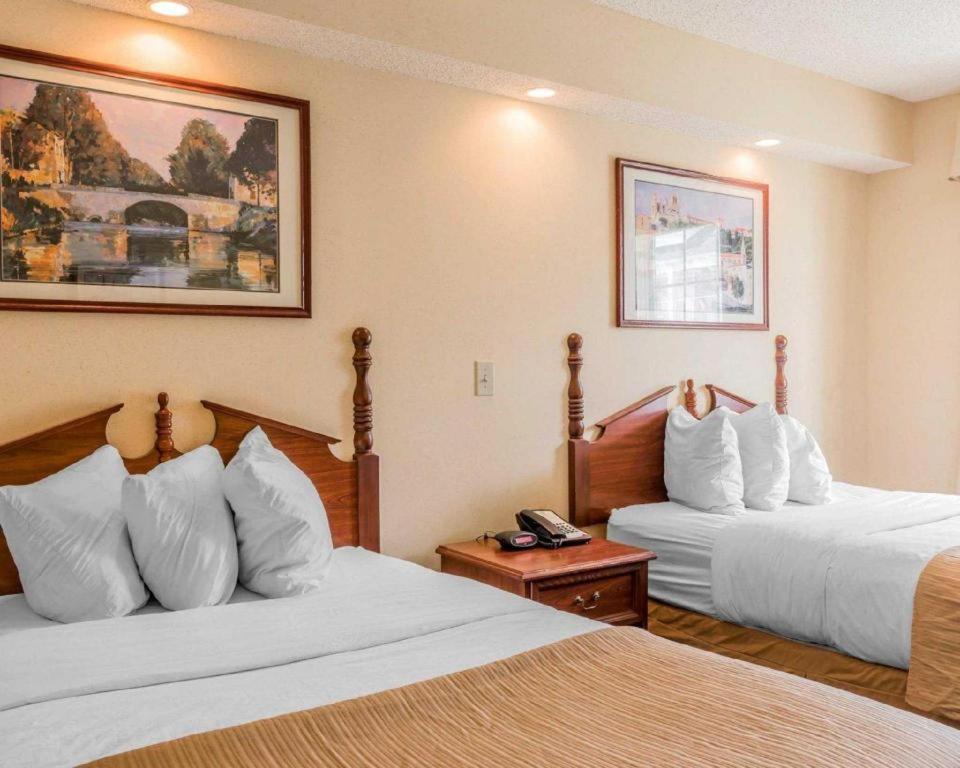 Rodeway Inn Sylacauga Hwy 280 Zewnętrze zdjęcie