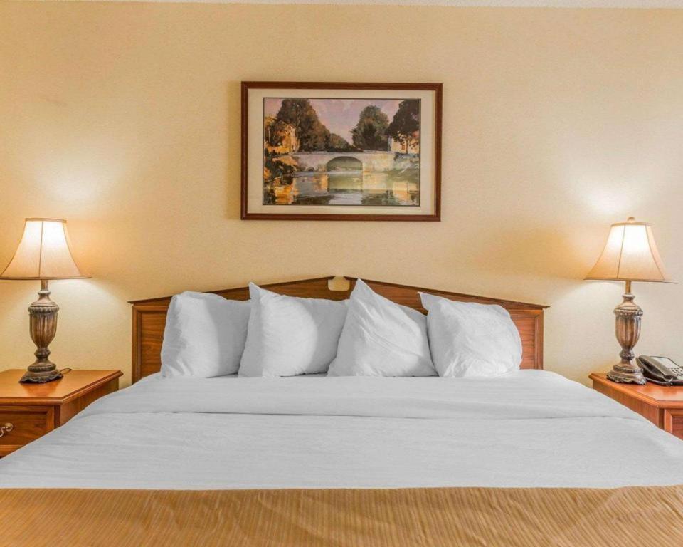 Rodeway Inn Sylacauga Hwy 280 Zewnętrze zdjęcie